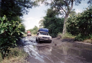 Chobe National Park